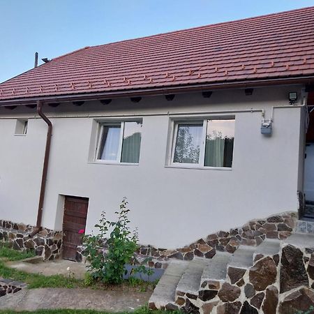 Casa Schei Villa Brassó Kültér fotó