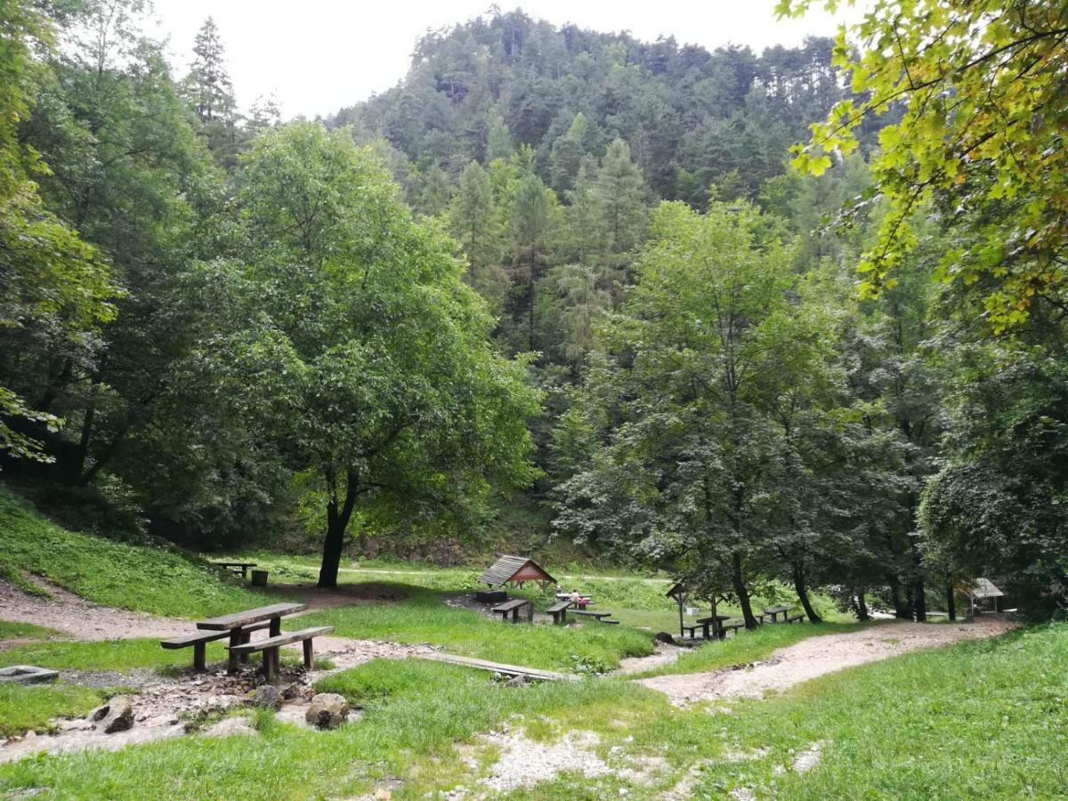 Casa Schei Villa Brassó Kültér fotó
